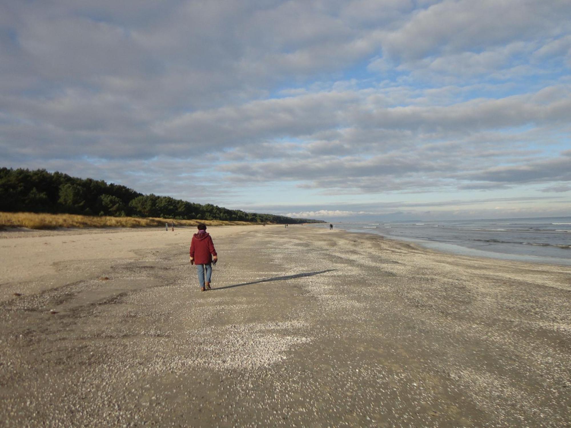 Ostseemuschel Karlshagen Zewnętrze zdjęcie