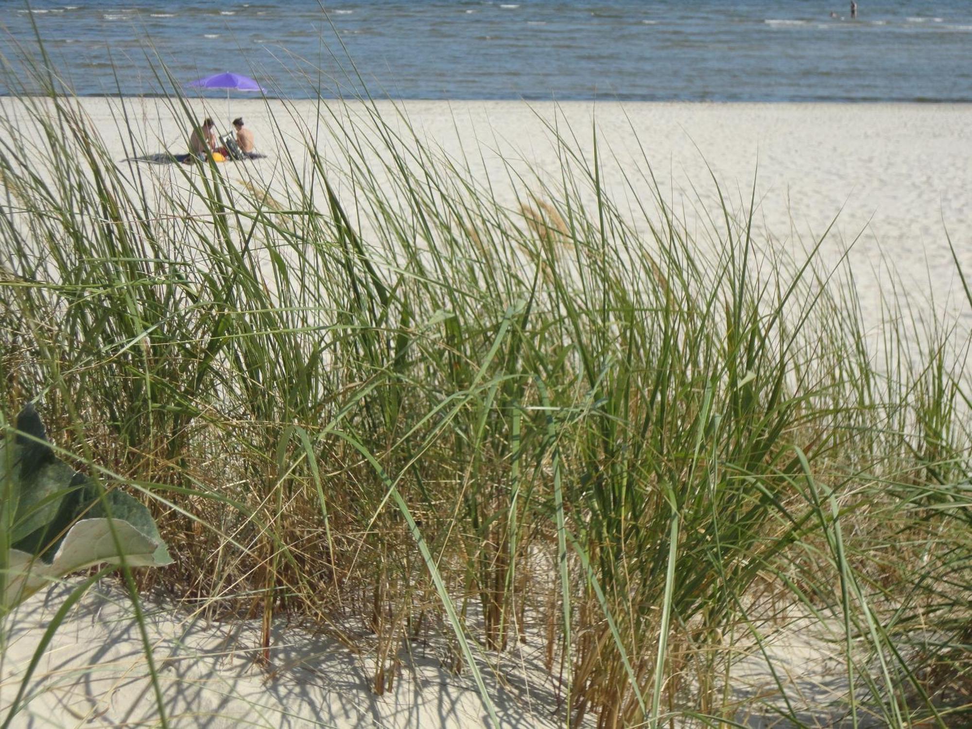 Ostseemuschel Karlshagen Zewnętrze zdjęcie