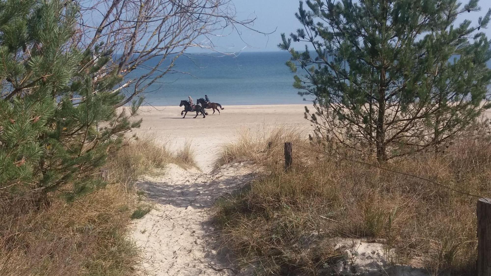 Ostseemuschel Karlshagen Zewnętrze zdjęcie